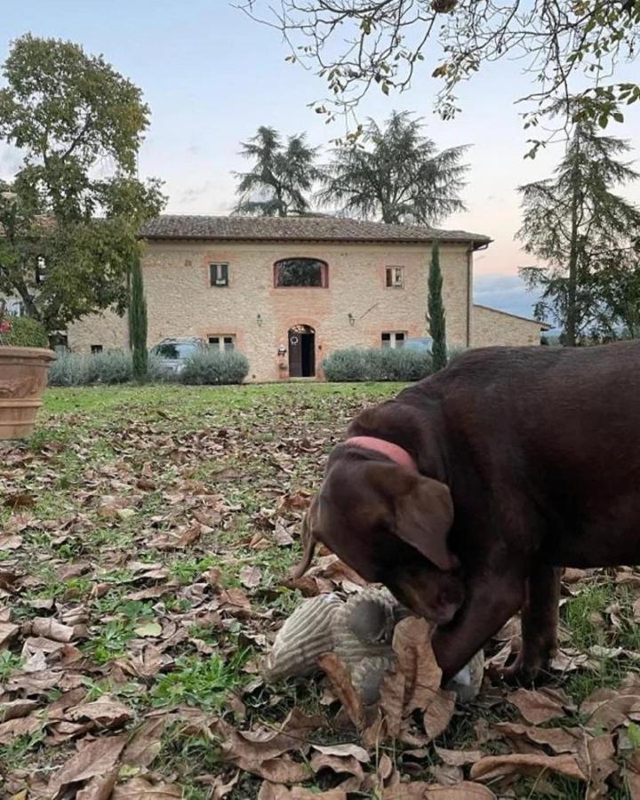 Agriturismo La Segolina Colle Val D'Elsa Extérieur photo
